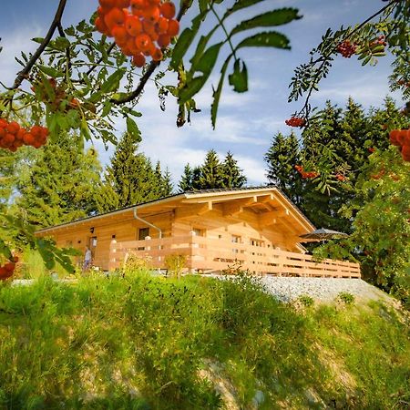 Das Wistlberg Wohlfühlchalet Mauth Exterior foto